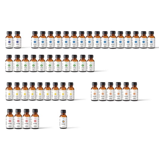 Chakra Blüten Elixiere Set